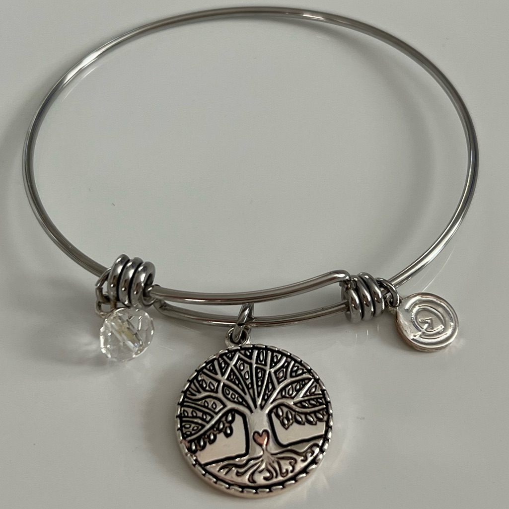 Love This Life Family The Root Of Love Silver-Toned Charm Bracelet 10$